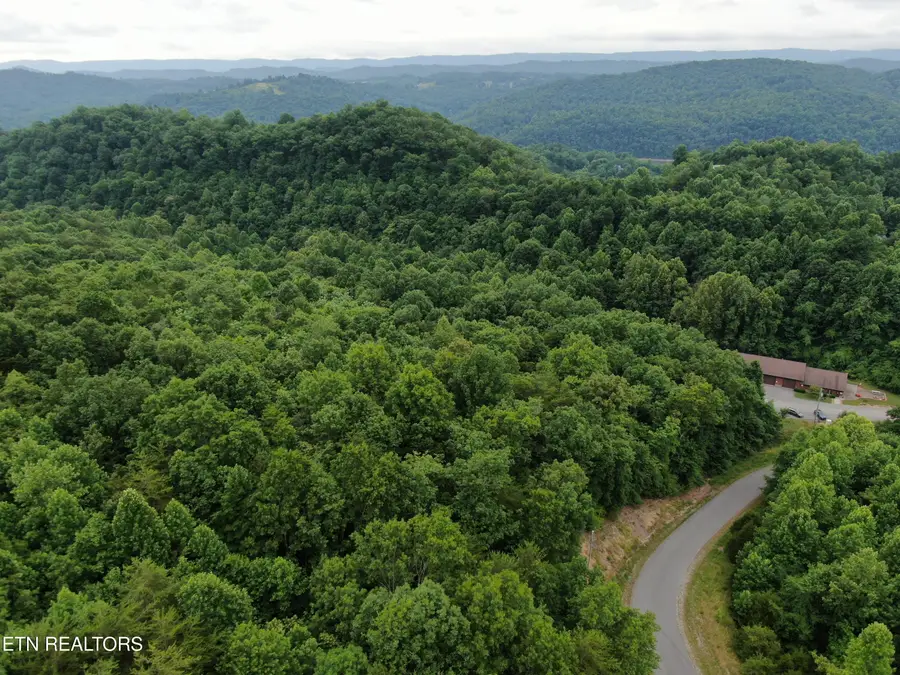 171 Bluff View Rd, New Tazewell, TN 37825 - #2