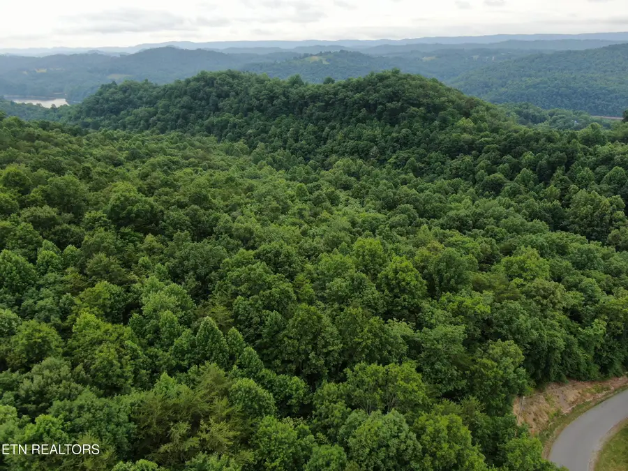 171 Bluff View Rd, New Tazewell, TN 37825 - #3