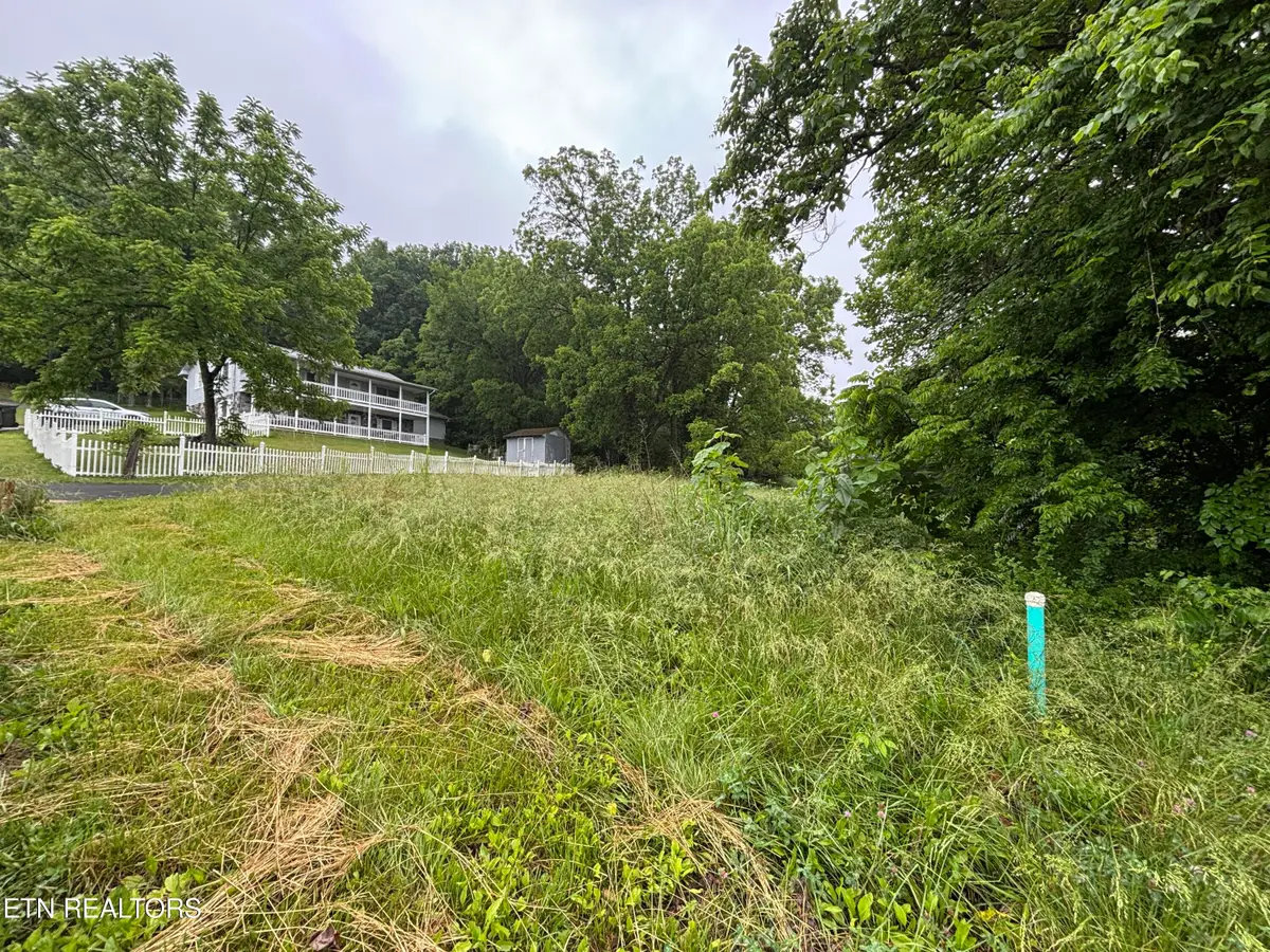 Morrell Springs Rd, Newport, TN 37821 - #1