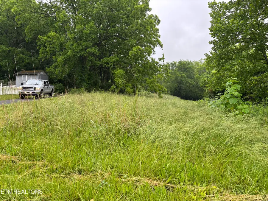 Morrell Springs Rd, Newport, TN 37821 - #2