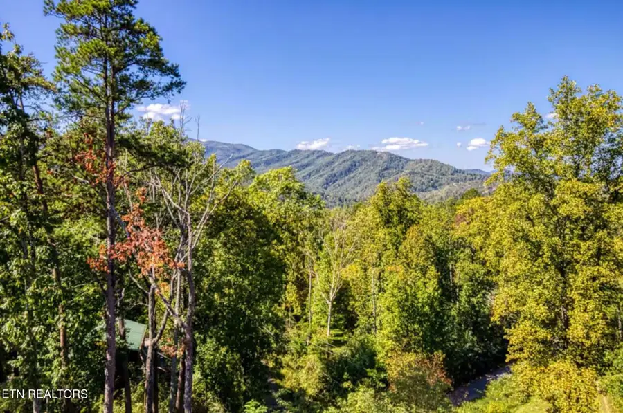 622 Timber Ridge Rd, Gatlinburg, TN 37738 - #3