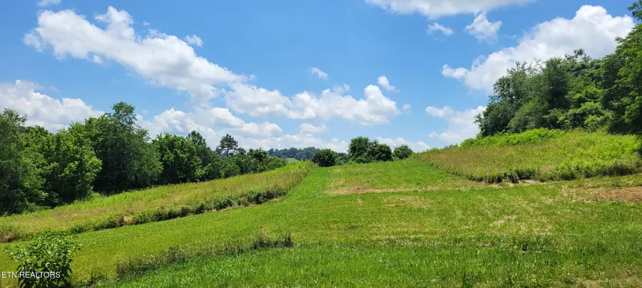 151 Rolen Rd, New Tazewell, TN 37825 - #2