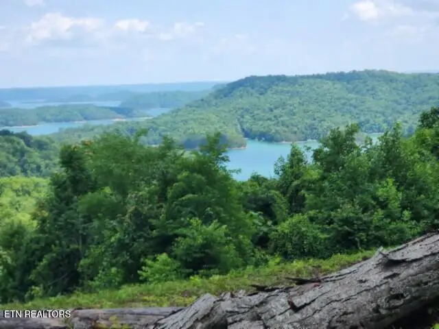 Lot 27C E Rockfish Rd, Hilham, TN 38568 - #3