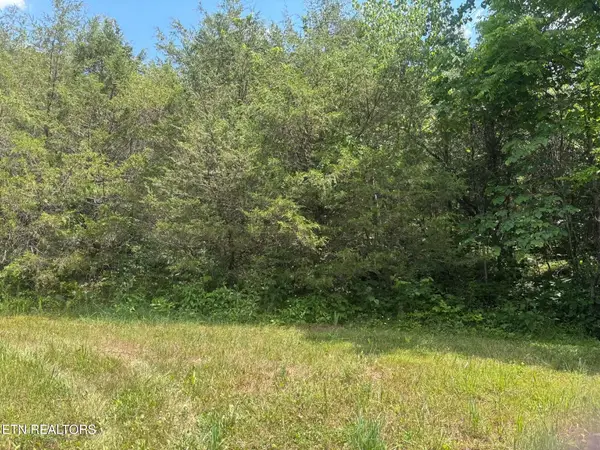 00 Mulberry Gap Rd Rd, Sneedville, TN 37869