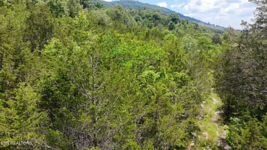 00 Mulberry Gap Rd Rd, Sneedville, TN 37869 - #3