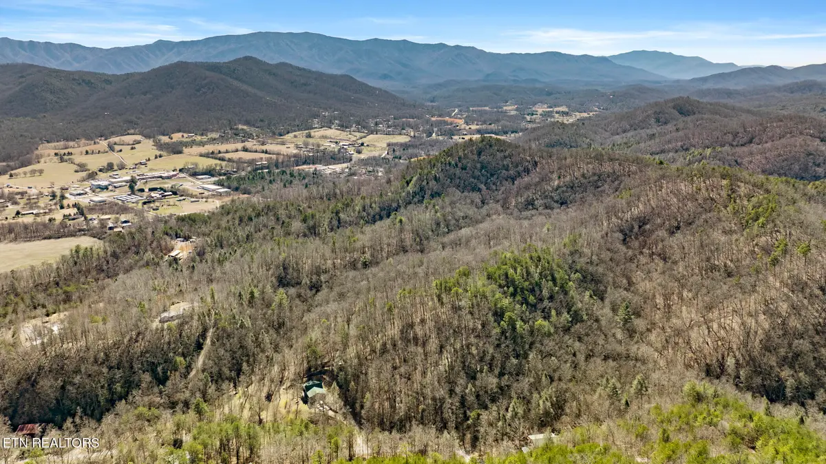 274 Cove Hollow Rd, Cosby, TN 37722 - #1