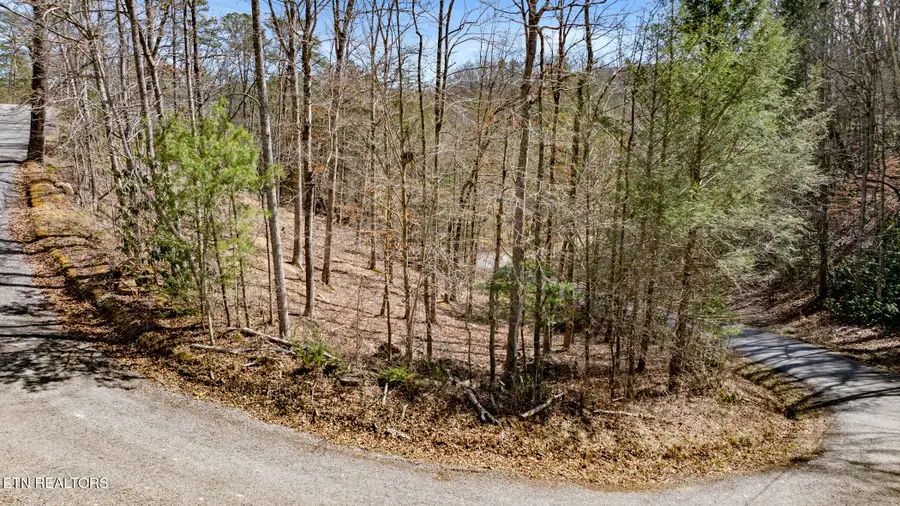 274 Cove Hollow Rd, Cosby, TN 37722 - #3