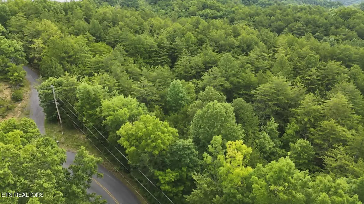 Buck Horn Rd, Dandridge, TN 37725 - #1