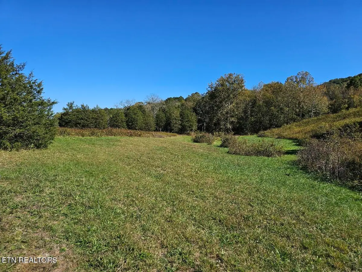 Shoreline Vista, Sharps Chapel, TN 37866 - #1