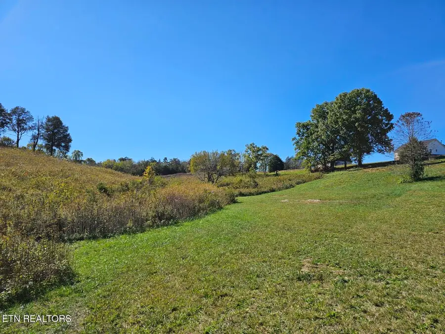 Shoreline Vista, Sharps Chapel, TN 37866 - #3