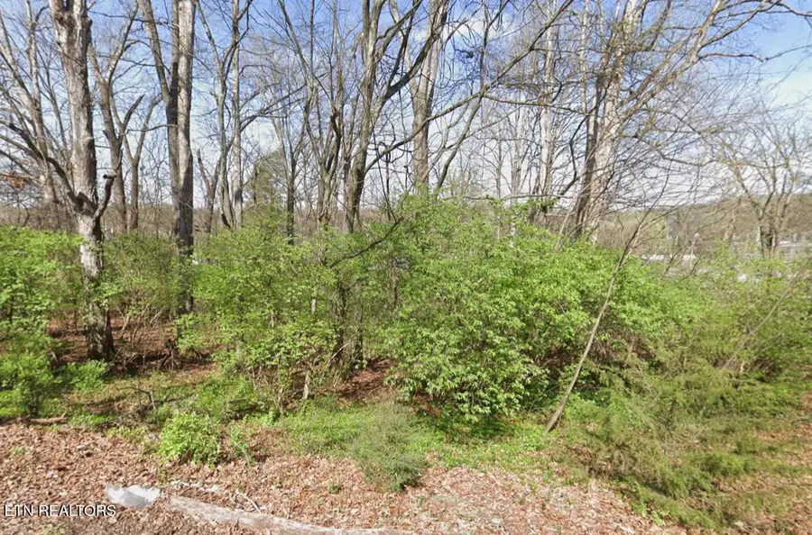 0 Lilac Ave, Knoxville, TN 37914 - #3