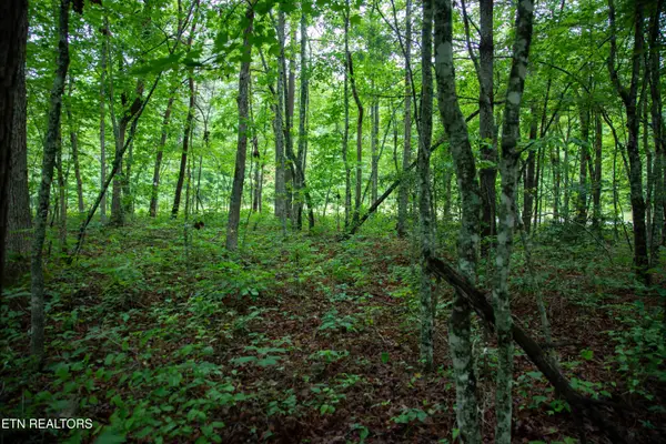 0 Lot 6 Cumberland Lakes Drive, Monterey, TN 38574
