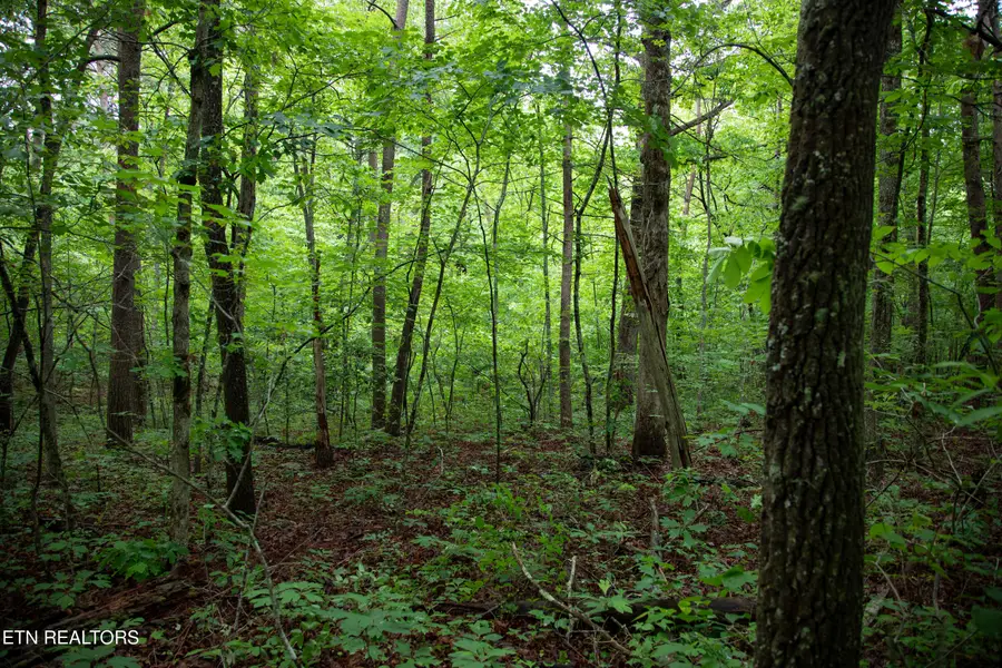 0 Lot 6 Cumberland Lakes Drive, Monterey, TN 38574 - #2