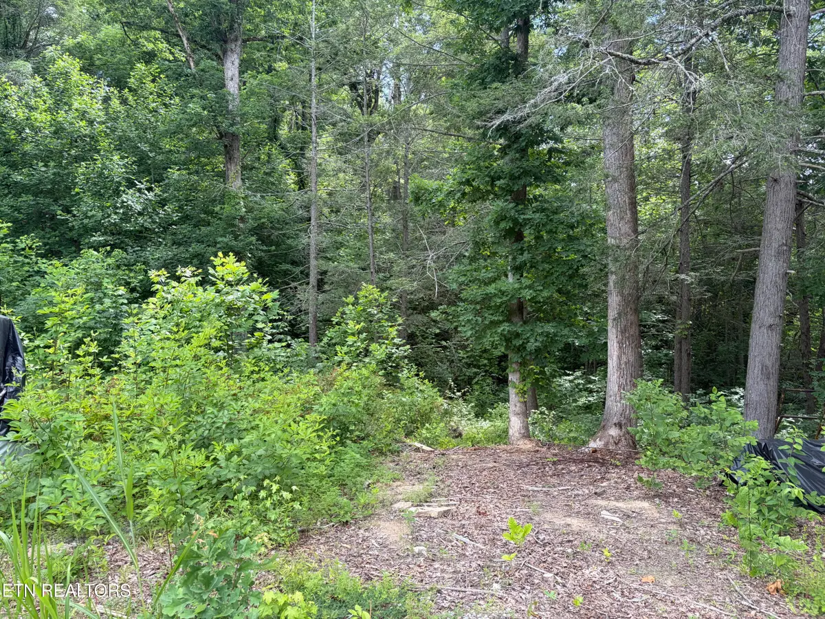 2708 Dayne Drive, Sevierville, TN 37876 - #1