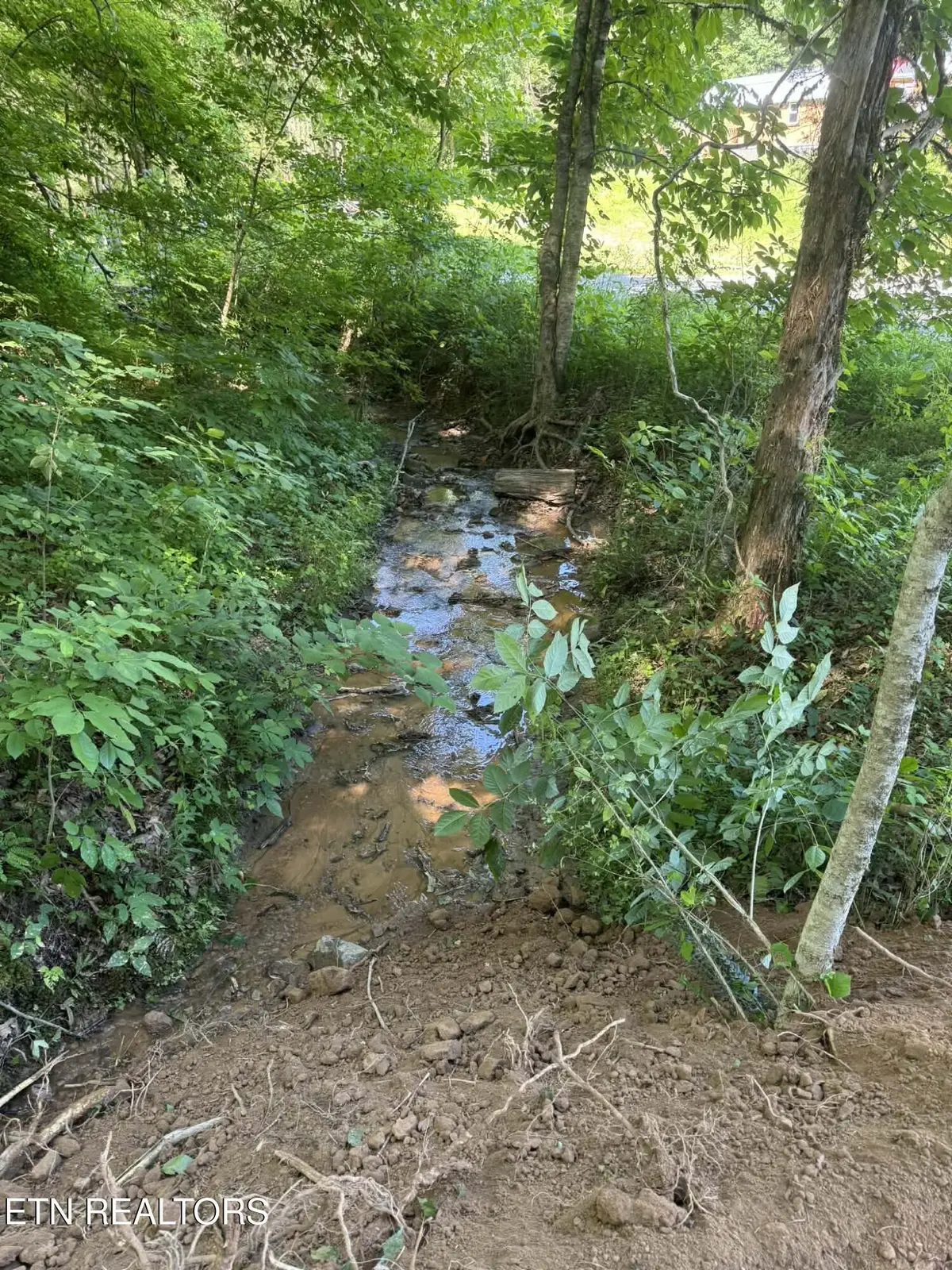 Tower Rd, Tazewell, TN 37879 - #1
