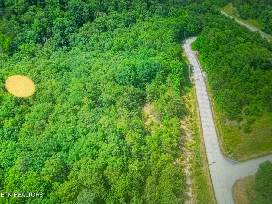 0 Crystal Springs Rd, Rockwood, TN 37854 - #2
