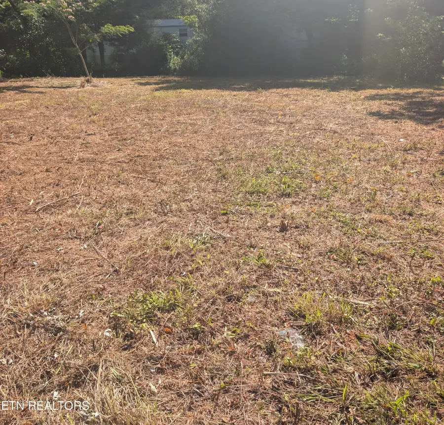 14 Honeycutt Lane, Middlesboro, KY 40965 - #2