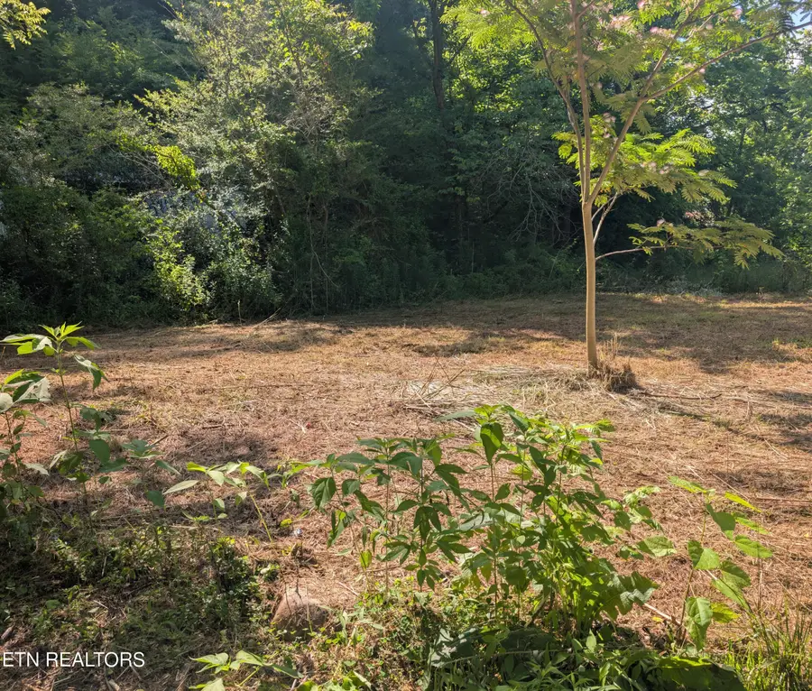 14 Honeycutt Lane, Middlesboro, KY 40965 - #3
