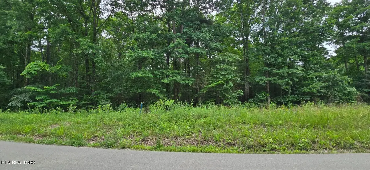 Lot 48-49 Bear Creek Rd, Winfield, TN 37892 - #1
