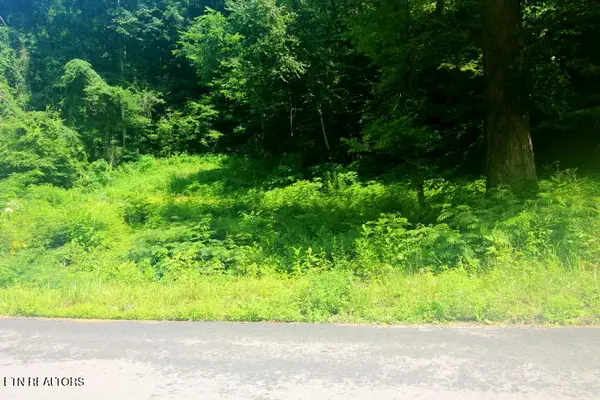 TBD Lot 1 Carrs Creek Rd, Townsend, TN 37882