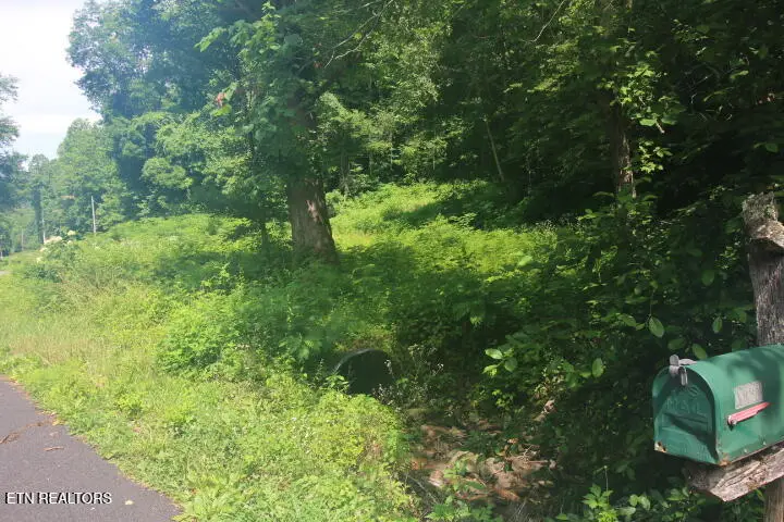 Lot 1 Carrs Creek Rd, Townsend, TN 37882 - #3