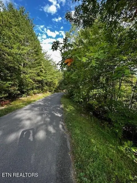 252 Round Top Way, Sevierville, TN 37862 - #3