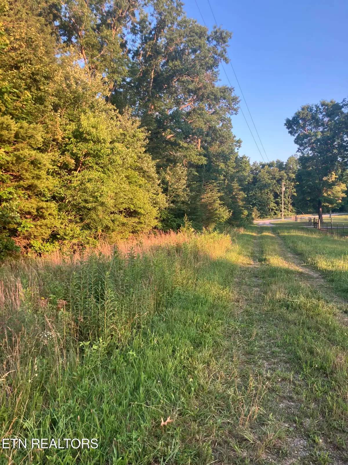 Lot 10 Holly Drive, Pikeville, TN 37367 - #1