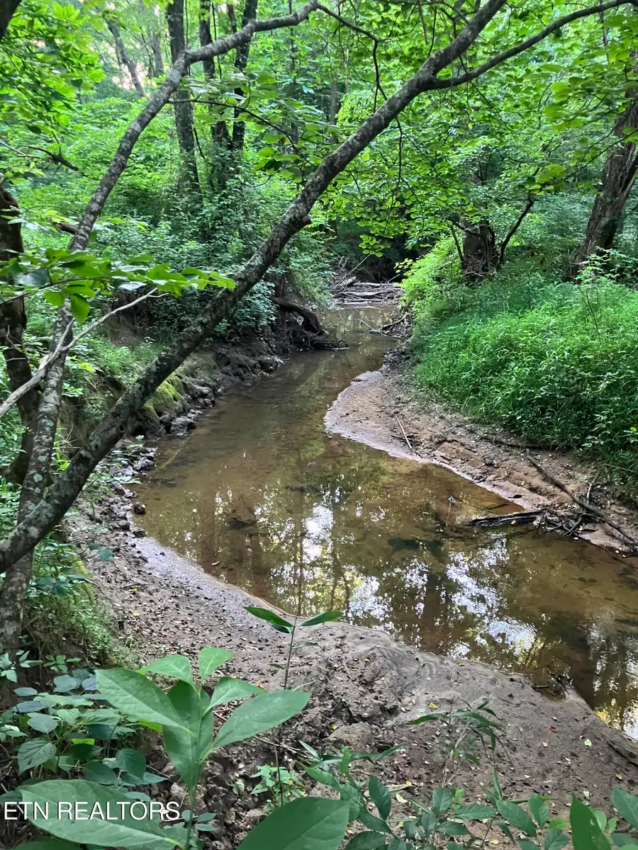 Lot 10 Holly Drive, Pikeville, TN 37367 - #2