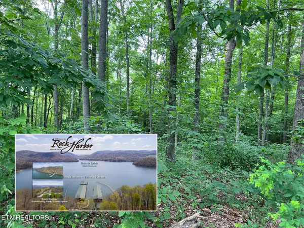 Lot 240 Tanzanite Tr, New Tazewell, TN 37825