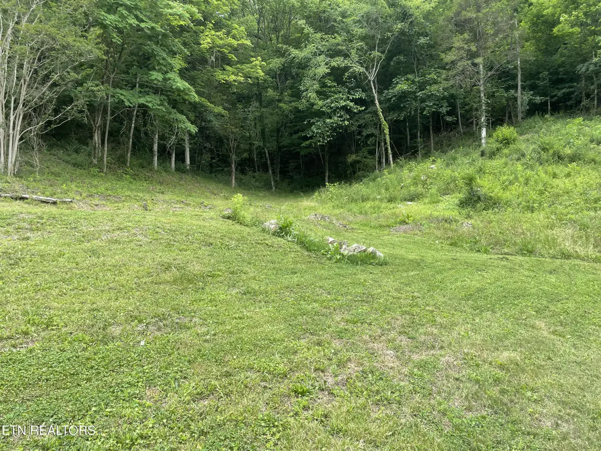 3901 Greenway Drive, Knoxville, TN 37918 - #1
