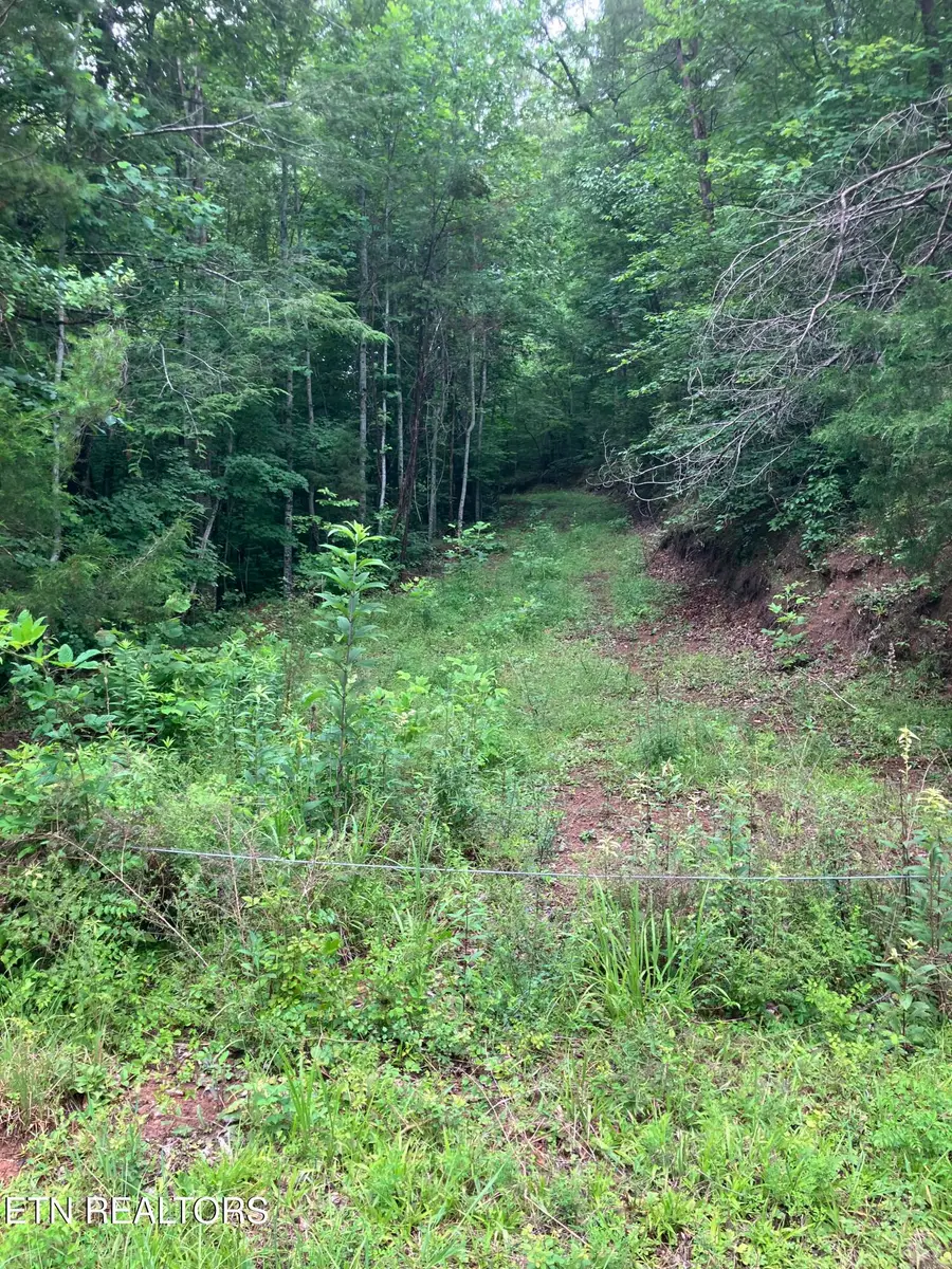 Tract 4 3 Point Rd, Vonore, TN 37885 - #2