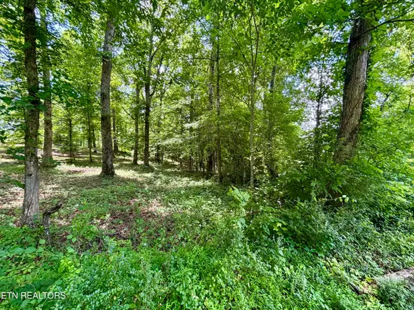 0 Rolling Acres Drive, Rockwood, TN 37854