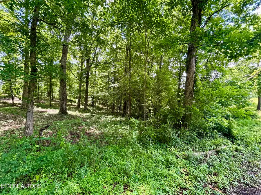 0 Rolling Acres Drive, Rockwood, TN 37854 - #3