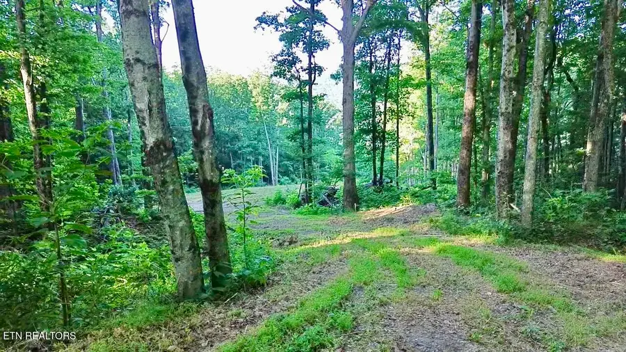 183 Persimmon Lane, Pioneer, TN 37847 - #2