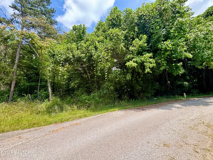 0 Davis Hollow Rd, Harriman, TN 37748 - #2