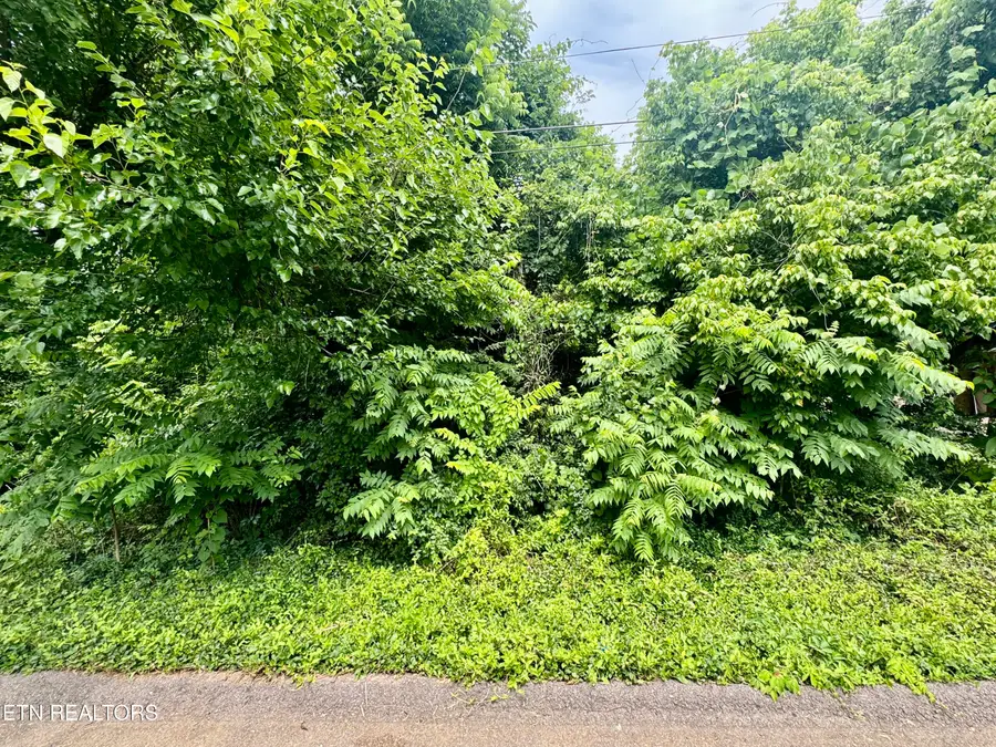 1018 Cedarwood St, Knoxville, TN 37914 - #2