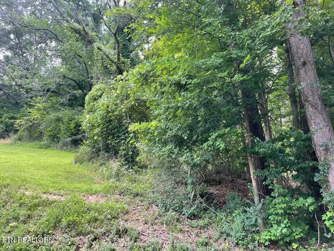 64 Riddle St, Dayton, TN 37321 - #1