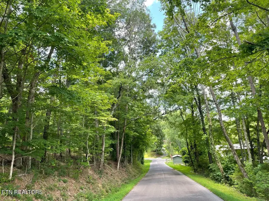 64 Riddle St, Dayton, TN 37321 - #2