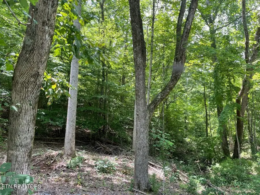 64 Riddle St, Dayton, TN 37321 - #3