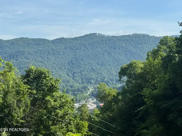 TBD Wallens Ridge Rd, Big Stone Gap, VA 24219