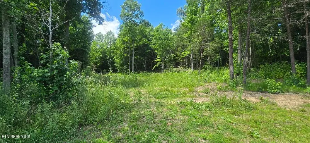 925 Anderson Hollow Rd, Huntsville, TN 37756 - #1