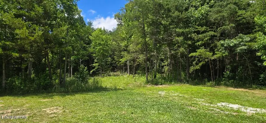 925 Anderson Hollow Rd, Huntsville, TN 37756 - #2
