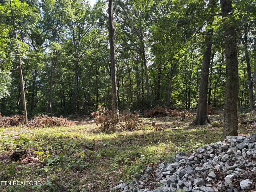 282 Morgan Circle, Crossville, TN 38572 - #3