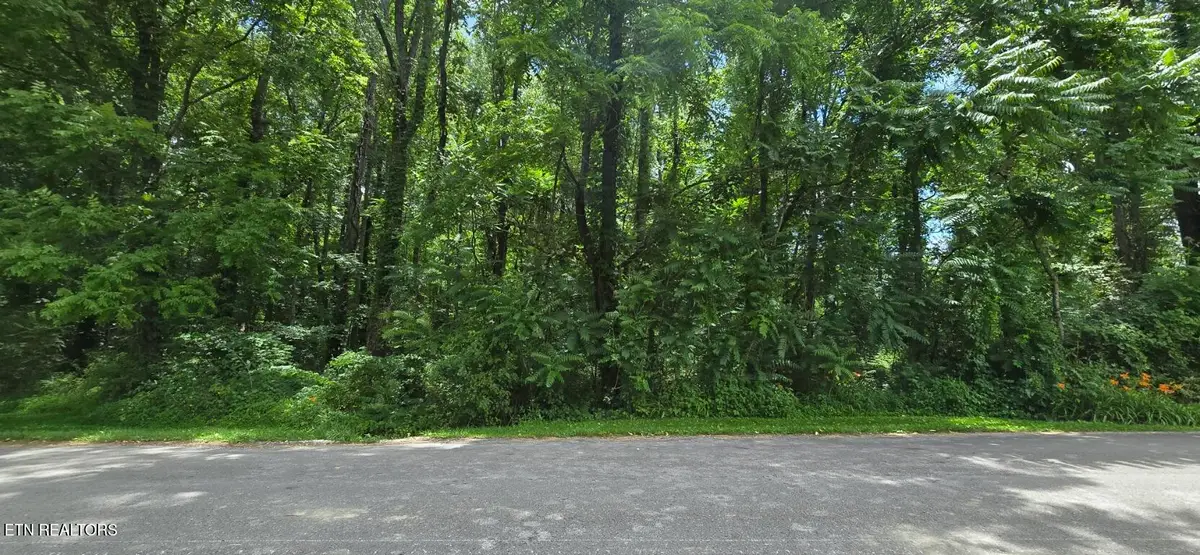 Shady Lane, Oneida, TN 37841 - #1