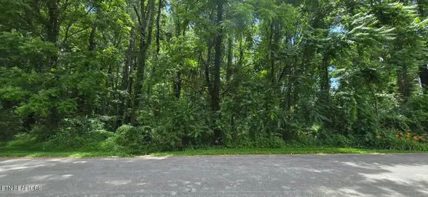 Shady Lane, Oneida, TN 37841