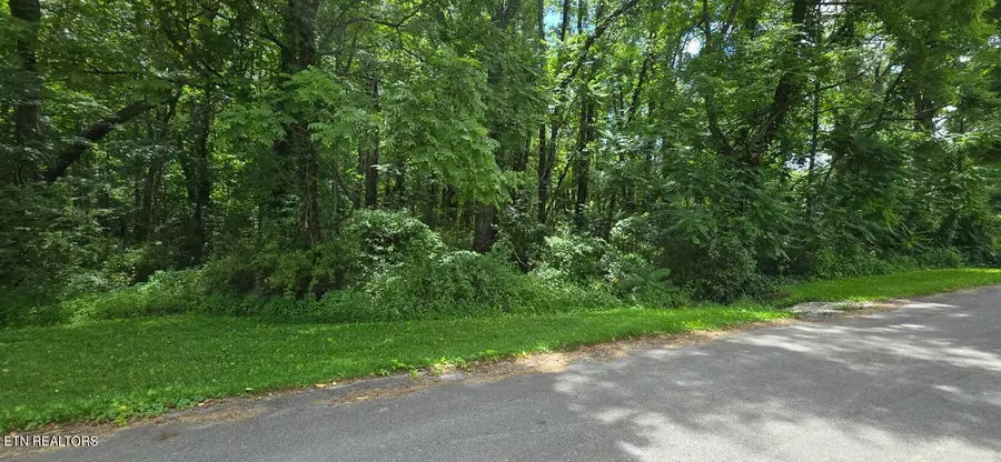 Shady Lane, Oneida, TN 37841 - #3