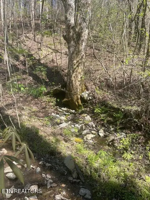 Lot 1 Old Furnace Rd, Tellico Plains, TN 37385