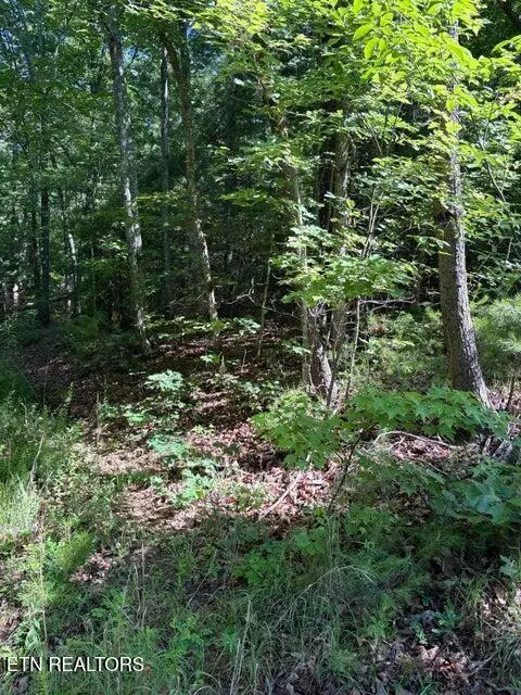 Lot 3 Old Furnace Rd, Tellico Plains, TN 37385 - #3