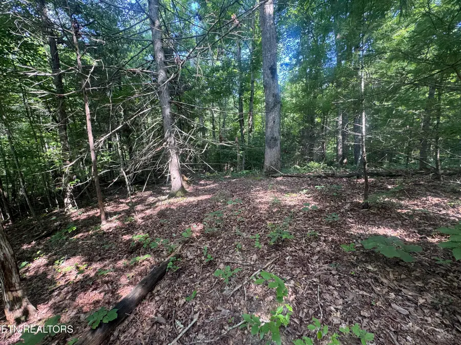 332 Padgett Mill Rd, Cosby, TN 37722 - #2