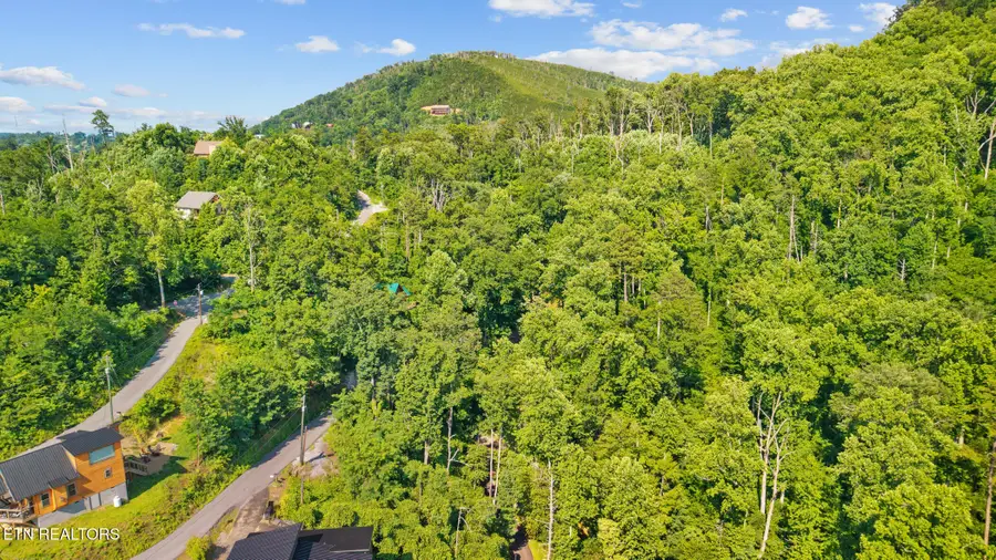 818 Davenport Rd, Gatlinburg, TN 37738 - #3